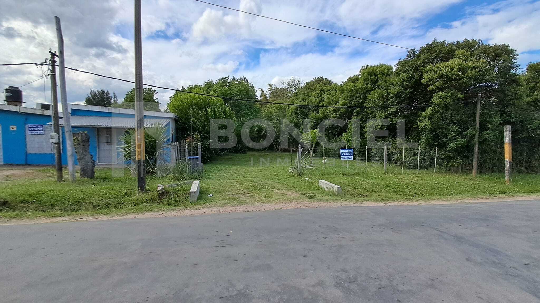 Casa Y Local Con Amplio Terreno En Villa Foresti, fotografía 2