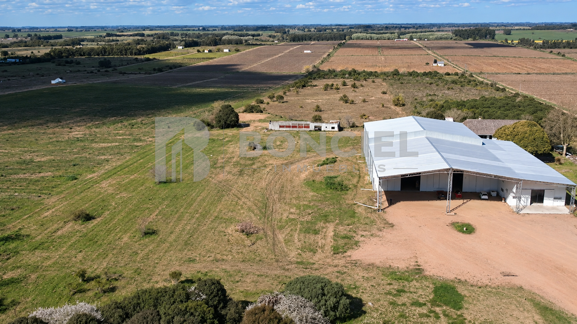 Excelente Terreno Logístico De 8ha Por Ruta 5, fotografía 4