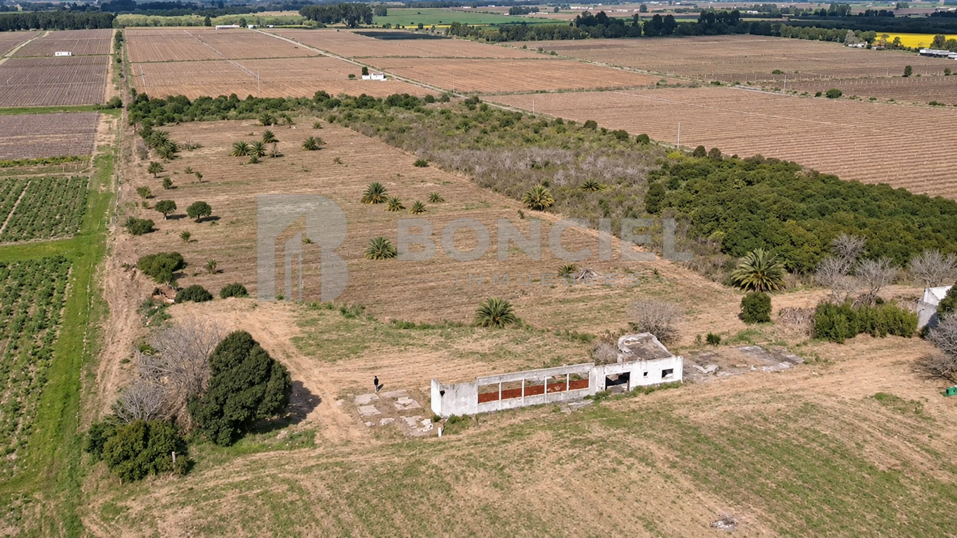 Excelente Terreno Logístico De 8ha Por Ruta 5, fotografía 2