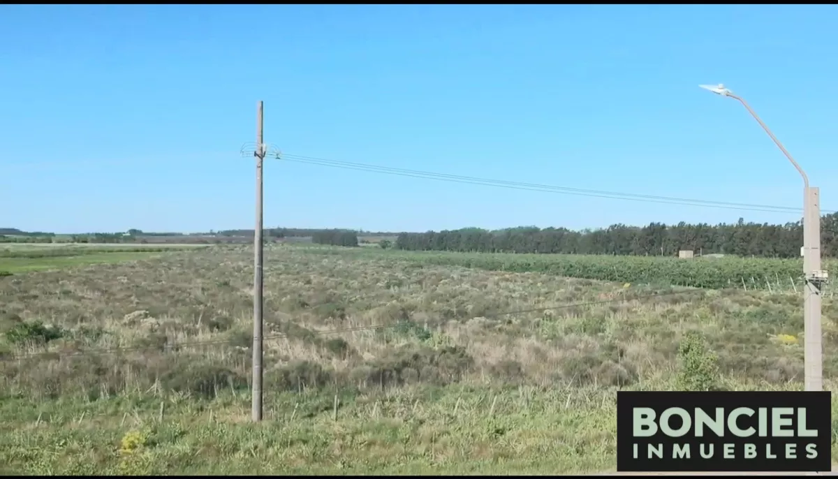 Muy Buen Terreno Logístico Ruta 5 K32 En Plena Rotonda, fotografía 5