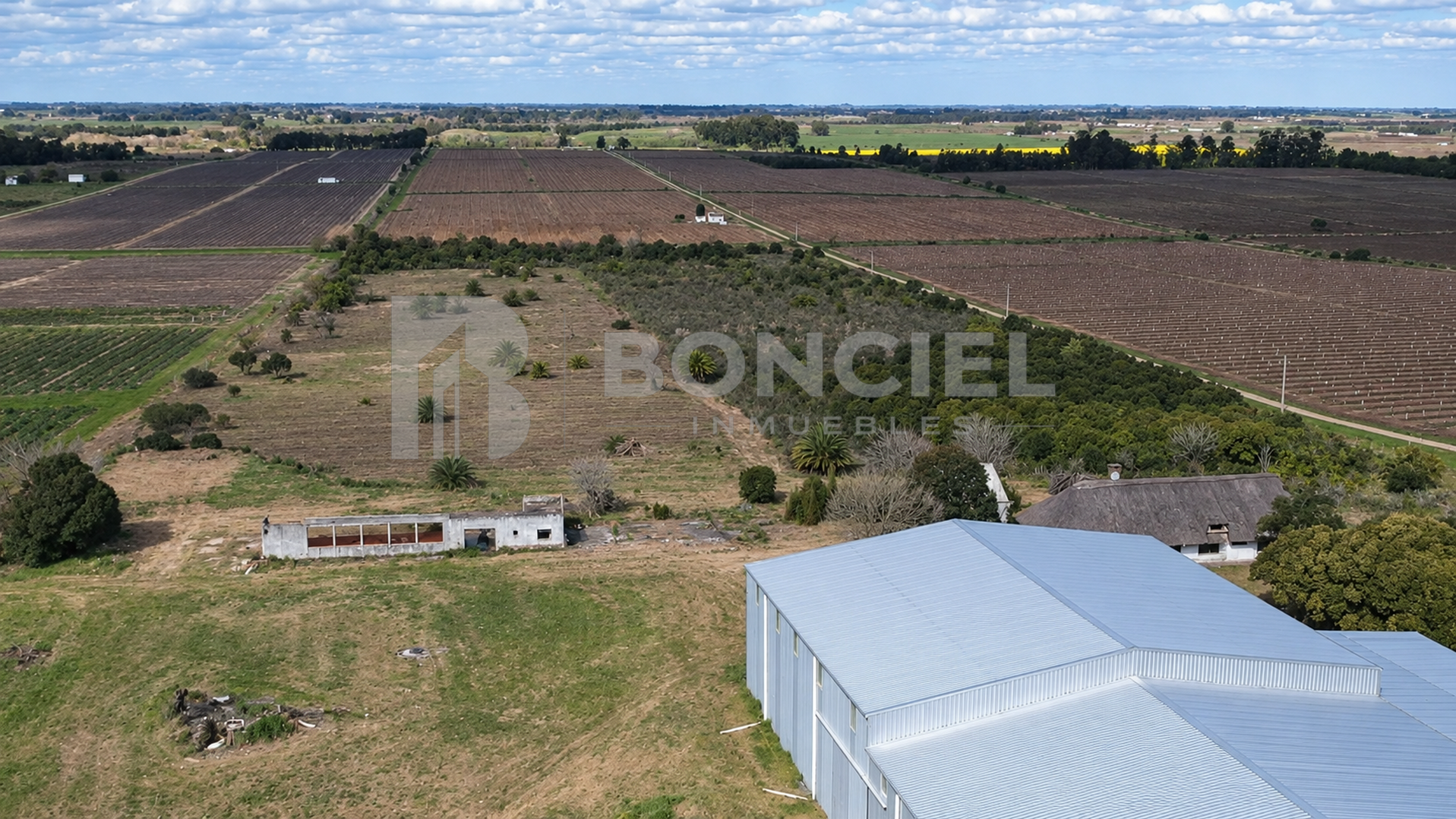 Excelente Terreno Logístico De 8ha Por Ruta 5, fotografía 5