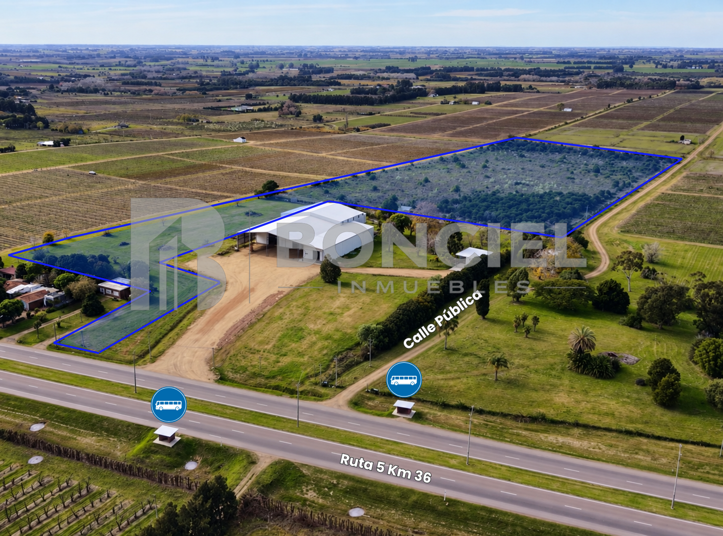 Predio Logístico Con Chalet 8,5 Ha Por Ruta 5 Km 36, fotografía 2