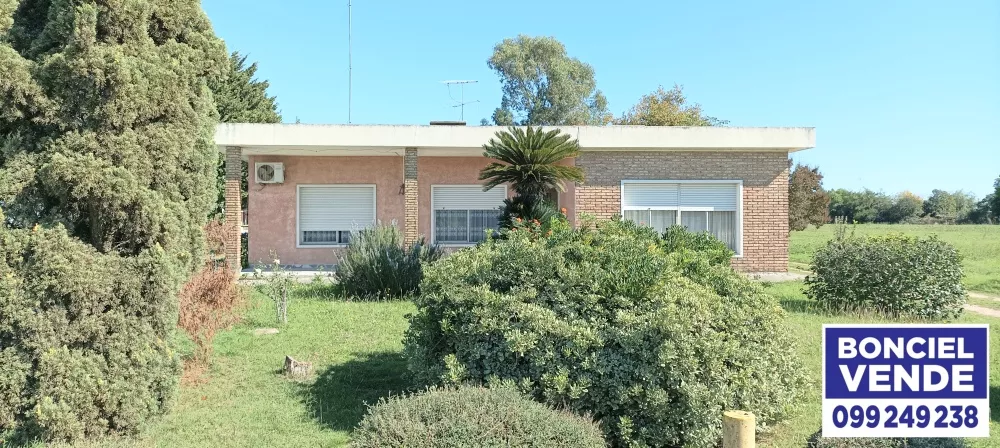 Casa Y Apartamento Con Buen Terreno Sobre Ruta 5, fotografía 4