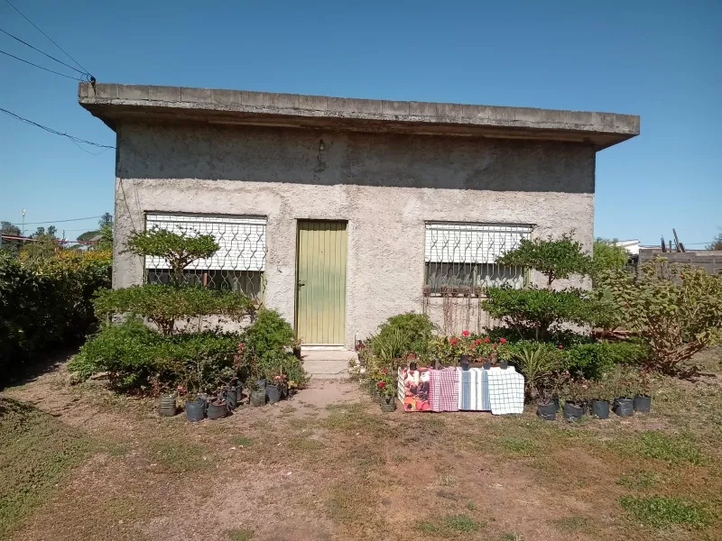 Casa 2 Dormitorios Con Amplio Terreno Y Galpón, fotografía 3